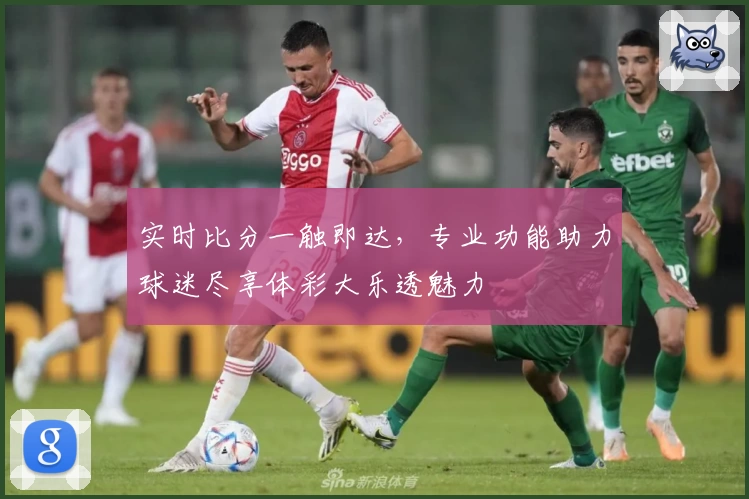 实时比分一触即达，专业功能助力球迷尽享体彩大乐透魅力