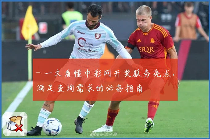 - 一文看懂中彩网开奖服务亮点，满足查询需求的必备指南