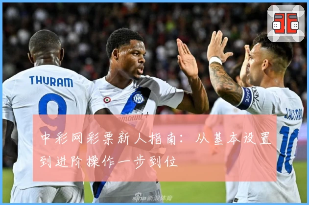 中彩网彩票新人指南：从基本设置到进阶操作一步到位