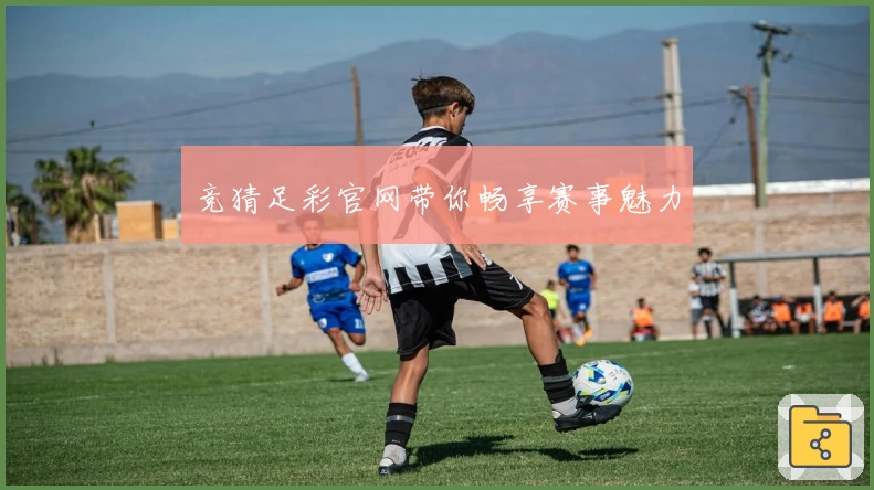 竞猜足彩官网带你畅享赛事魅力