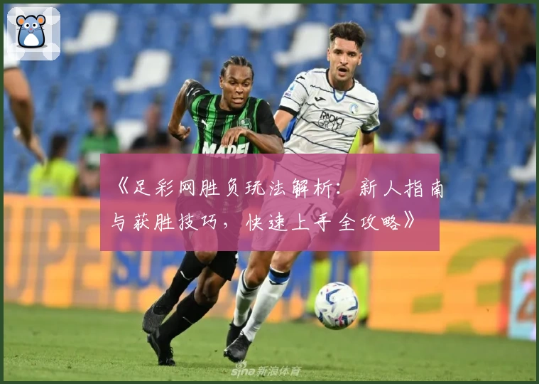 《足彩网胜负玩法解析：新人指南与获胜技巧，快速上手全攻略》