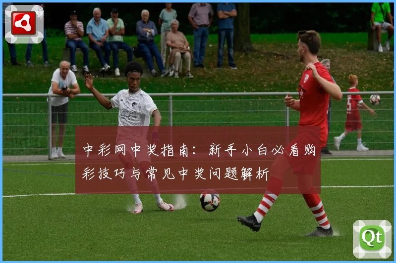 中彩网中奖指南：新手小白必看购彩技巧与常见中奖问题解析