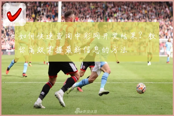 如何快速查询中彩网开奖结果?教你高效掌握最新信息的方法